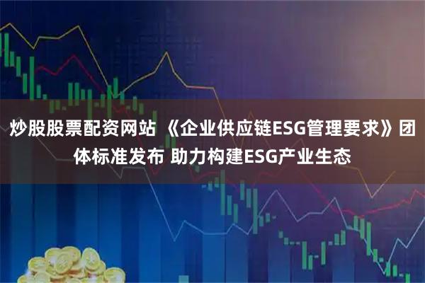 炒股股票配资网站 《企业供应链ESG管理要求》团体标准发布 助力构建ESG产业生态