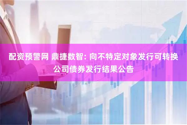 配资预警网 鼎捷数智: 向不特定对象发行可转换公司债券发行结果公告